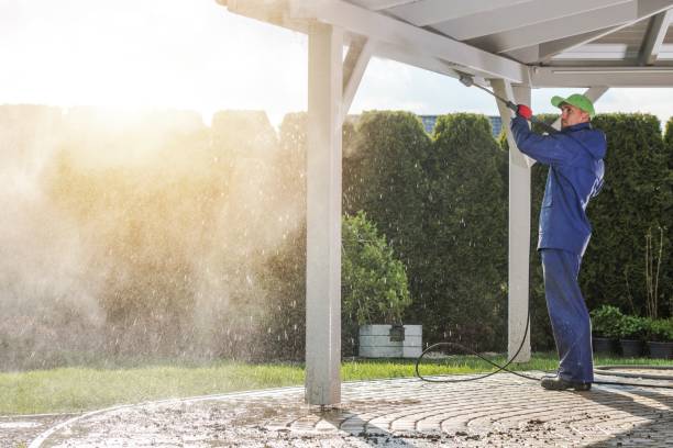 Best Soft Washing  in South Dennis, NJ