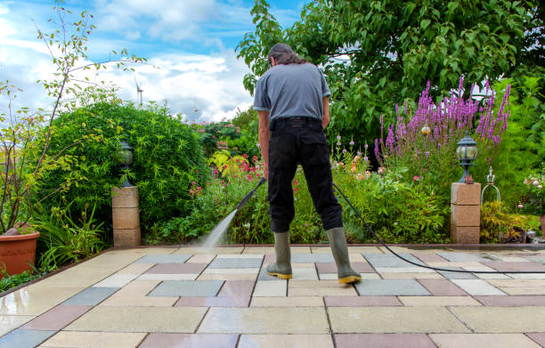 Best Animal Enclosure Cleaning  in South Dennis, NJ